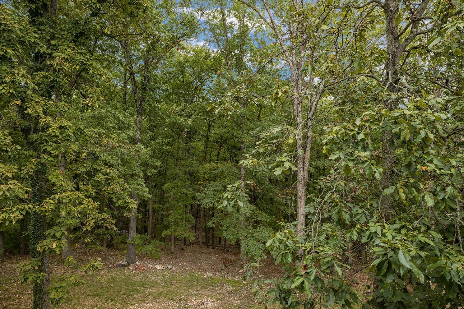 The Lofts On Indian Point - Near Silver Dollar City Branson Exterior photo